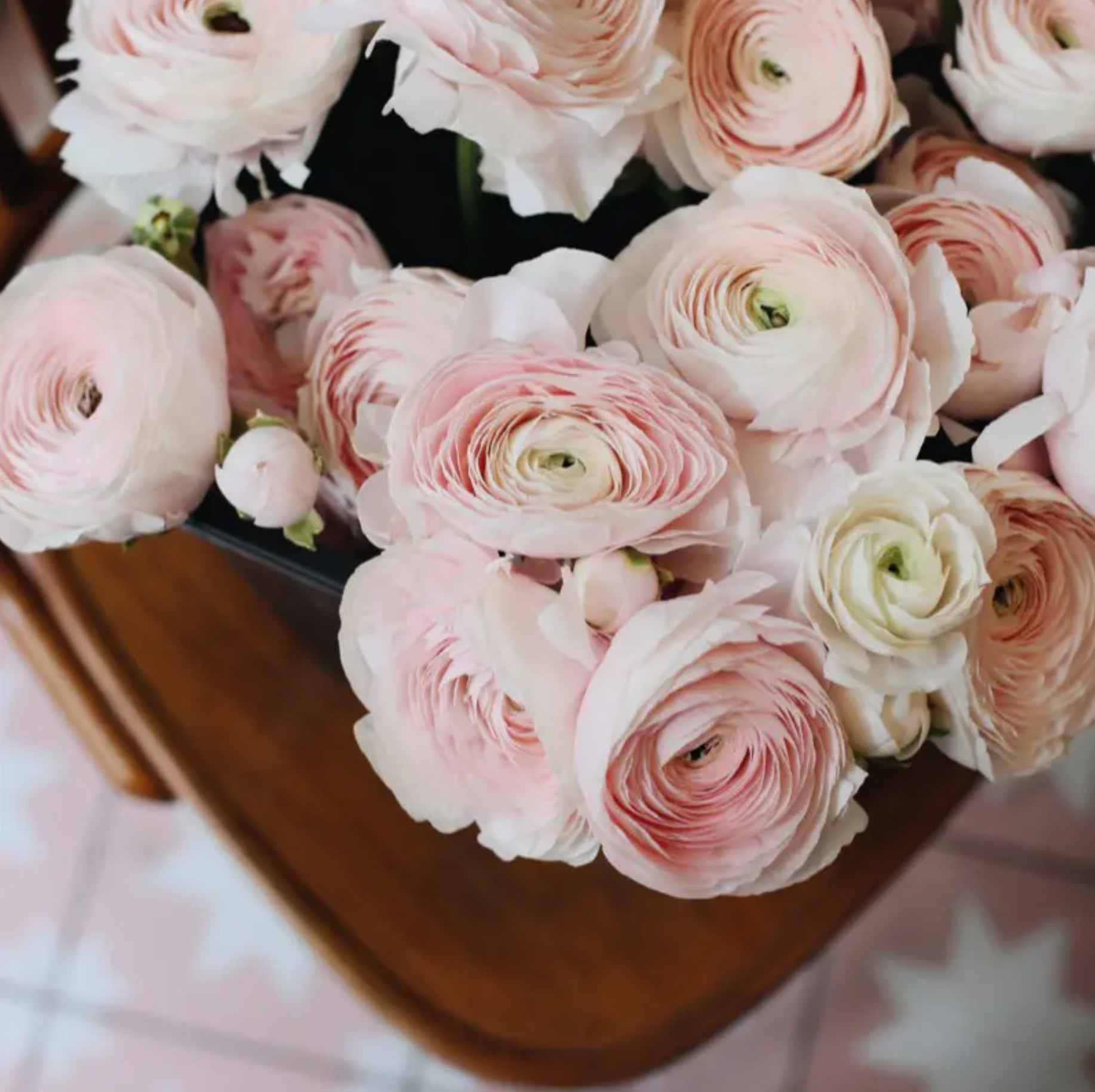 Ranunculus