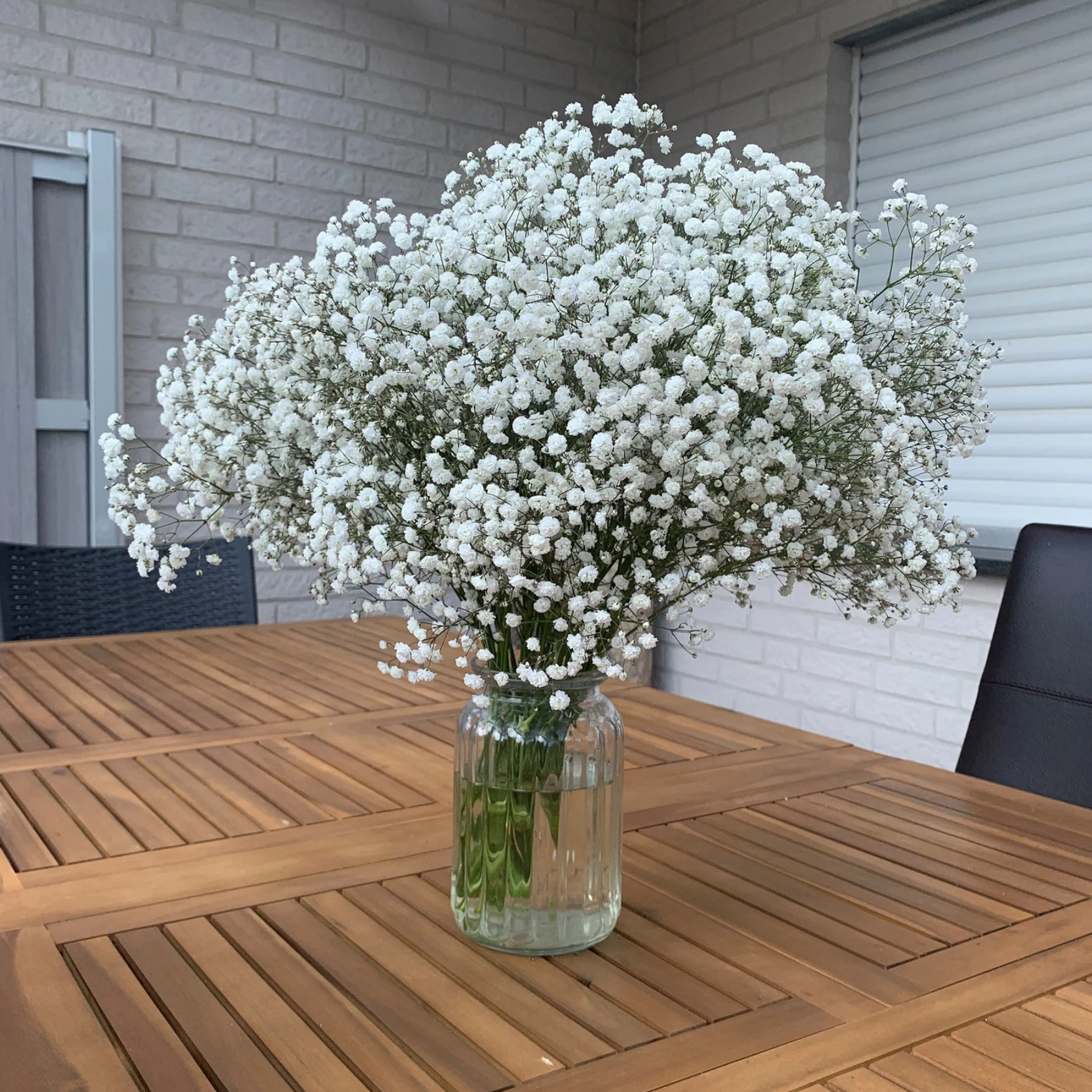 Baby's Breath