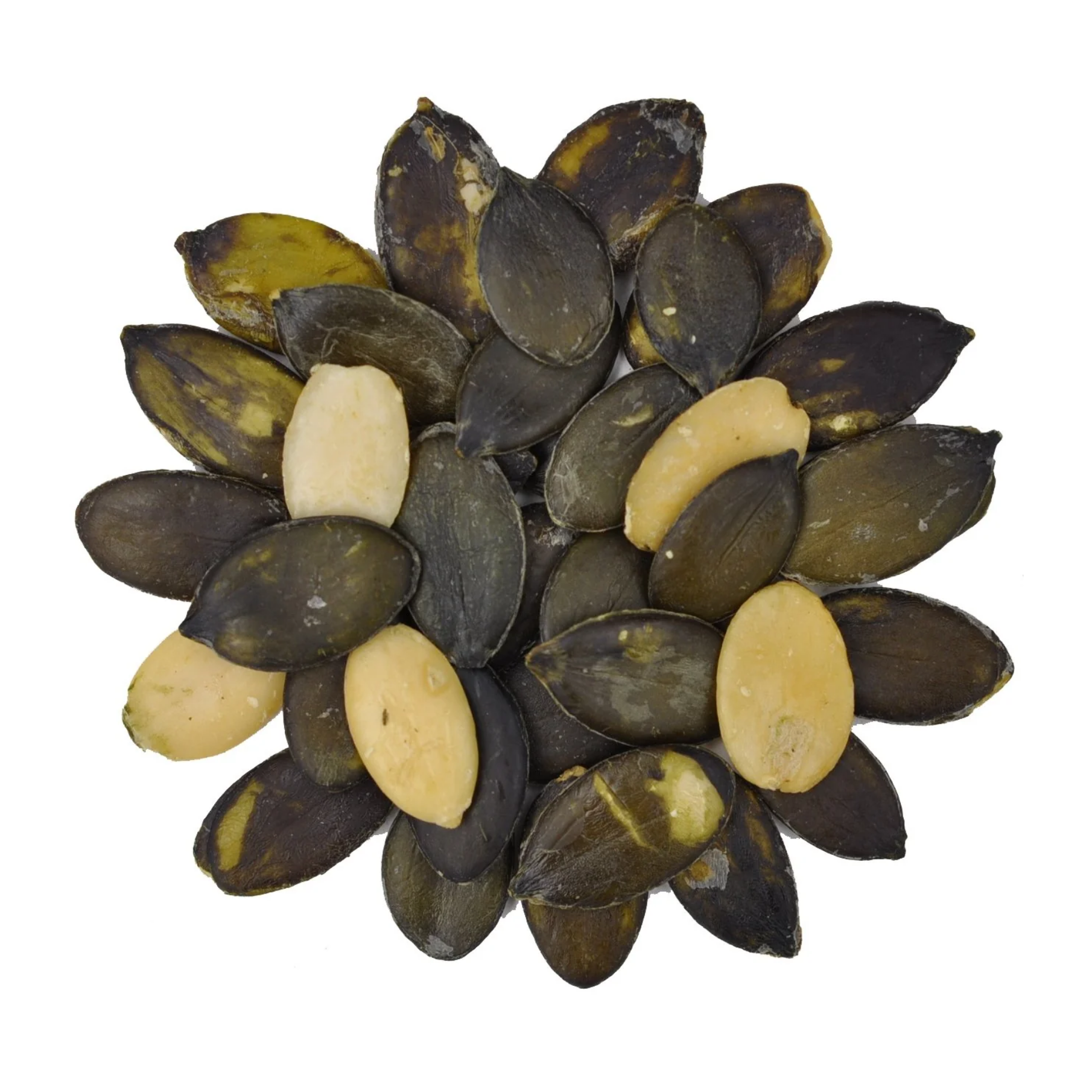 Heirloom Pumpkin Seeds - Organic, Raw, Oregon-Grown, 8 oz - Wilderness Poets (4) Heirloom PUMPKIN Seeds (Organic, Raw, Oregon Grown)