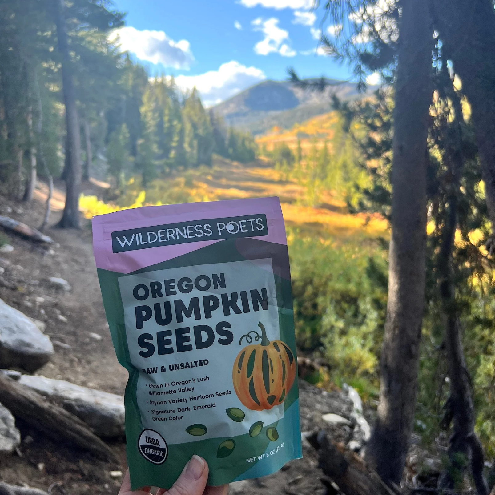 Heirloom Pumpkin Seeds - Organic, Raw, Oregon-Grown, 8 oz - Wilderness Poets (6) Heirloom PUMPKIN Seeds (Organic, Raw, Oregon Grown)