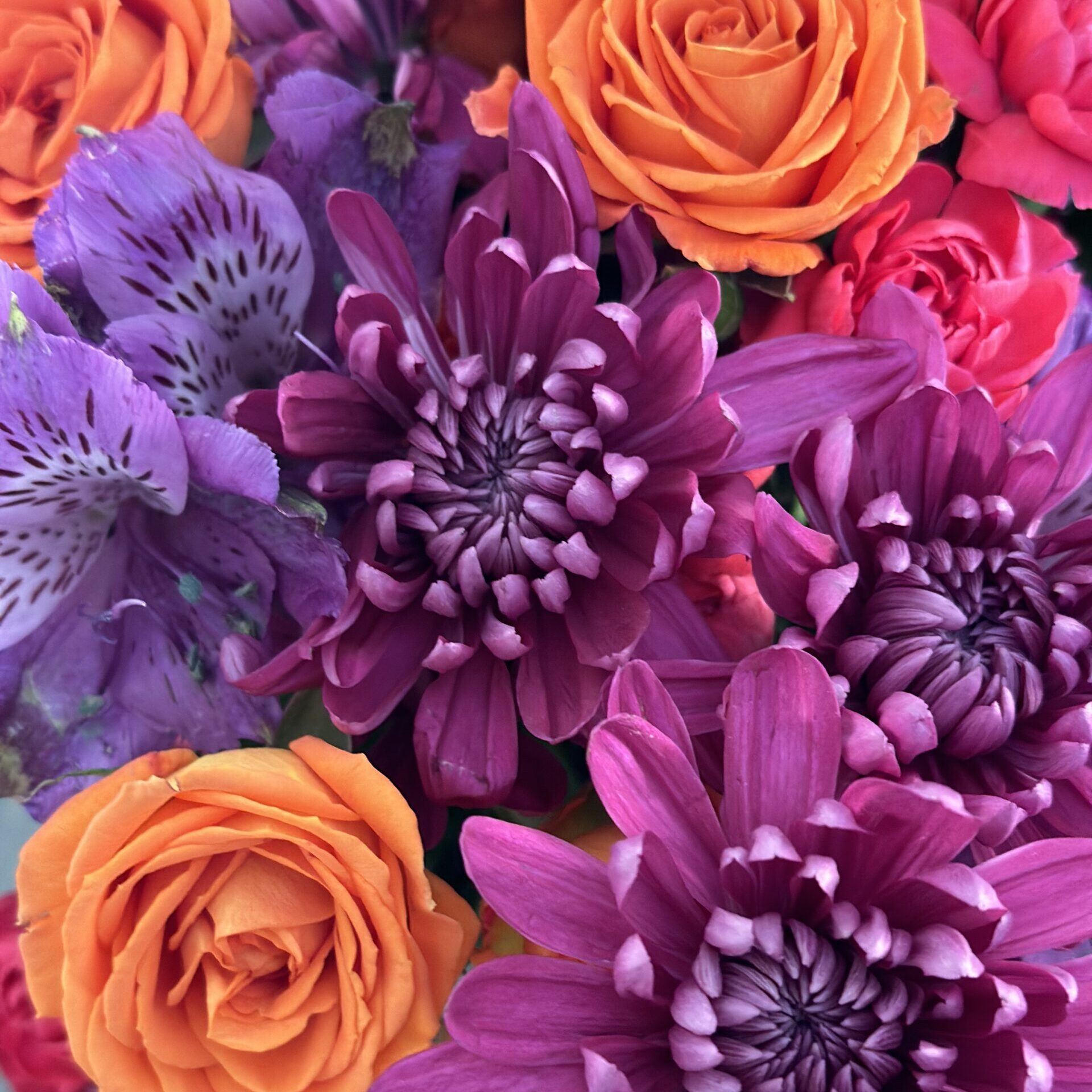 Flowers + Plants