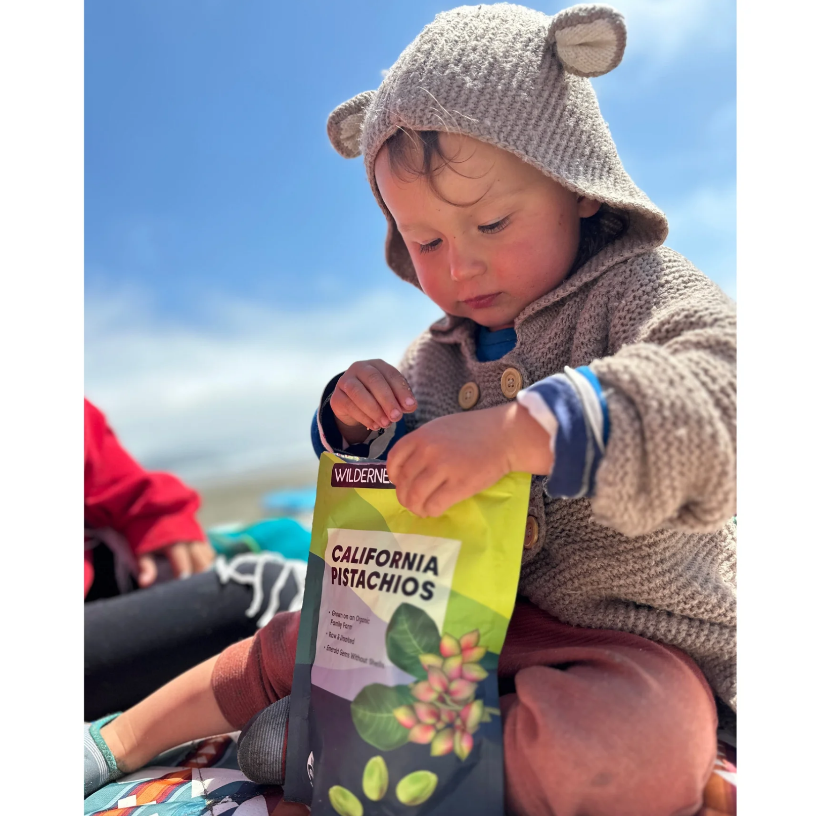 Pistachios - Whole, Organic, California-Grown - Wilderness Poets (6) PISTACHIOS (Whole, Organic, California Grown)